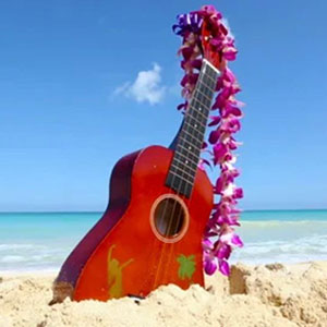 Photo d'un Ukulele à la plage